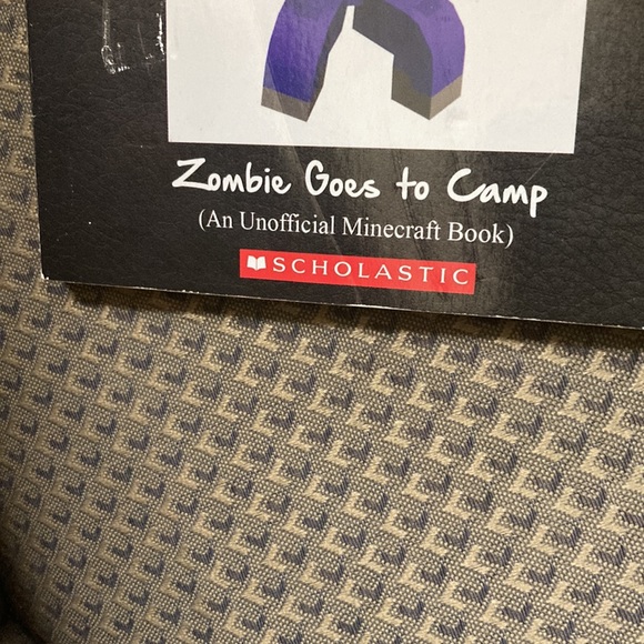 Diary of a Minecraft zombie: Book 6 zombie goes to camp - Picture 3 of 10